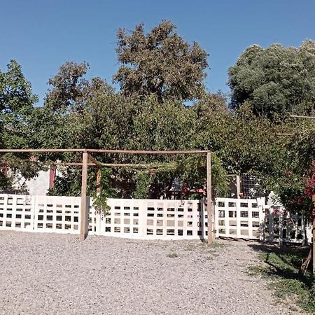 Hostal El Colibri Vicuna Exterior photo