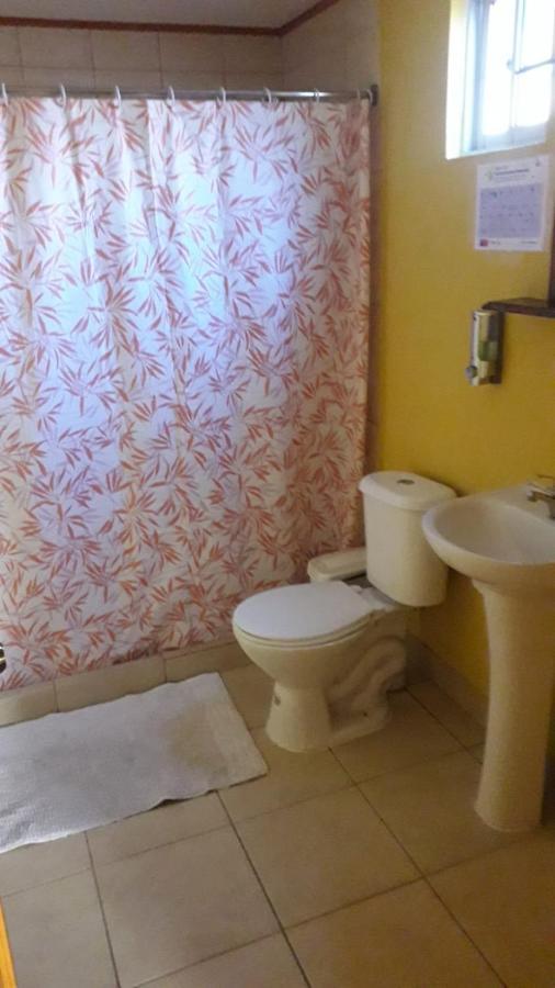 Hostal El Colibri Vicuna Exterior photo