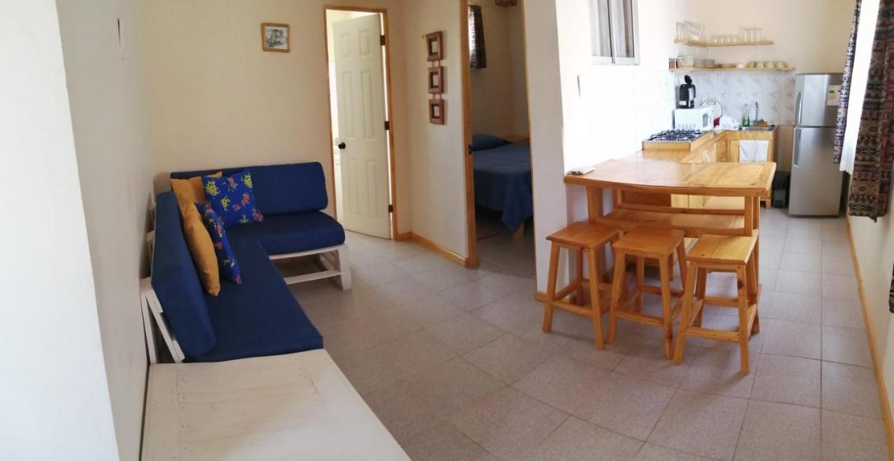 Hostal El Colibri Vicuna Exterior photo