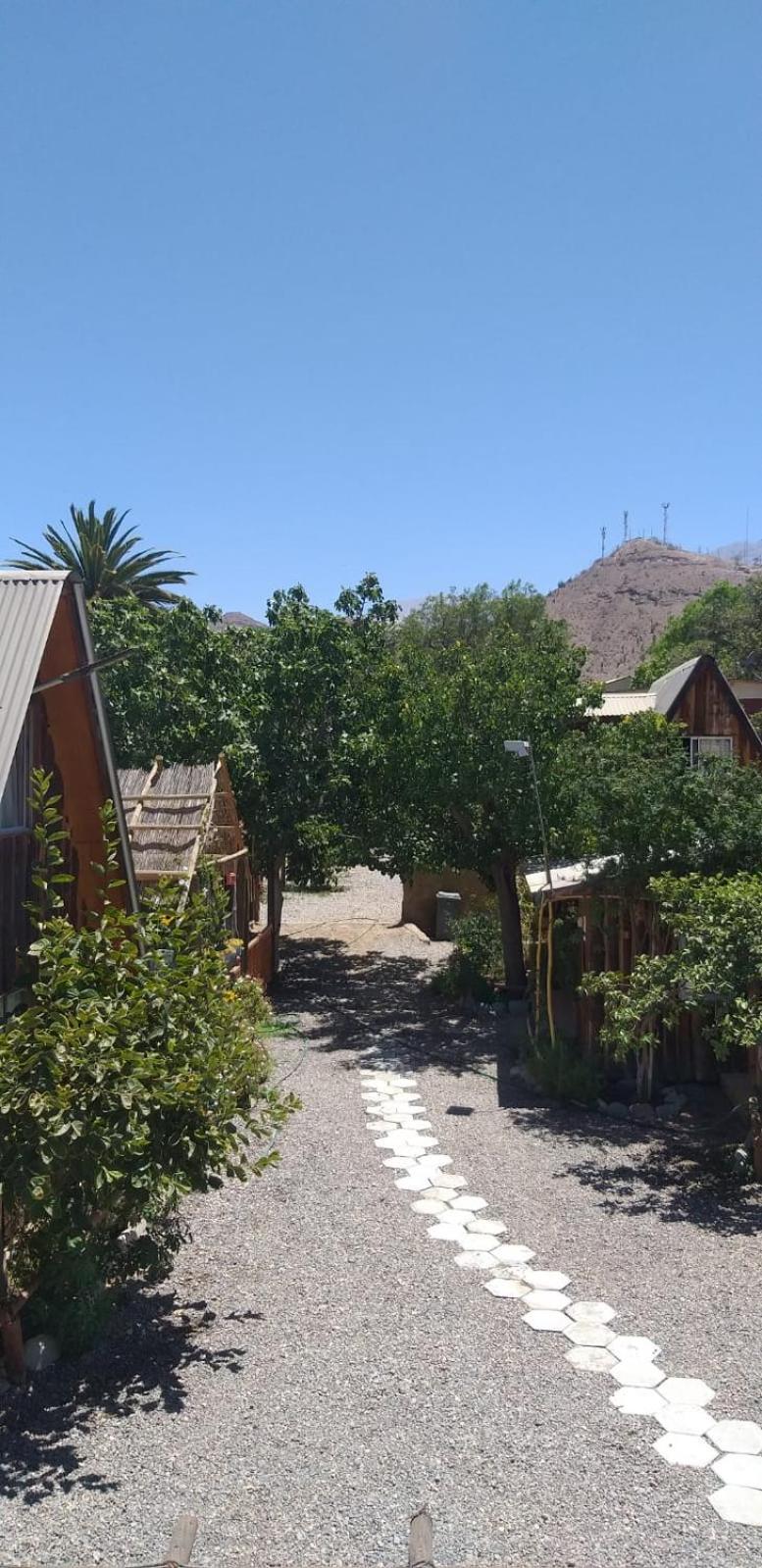 Hostal El Colibri Vicuna Exterior photo