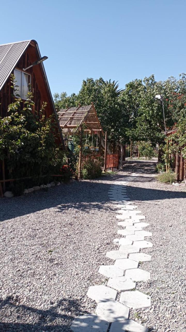 Hostal El Colibri Vicuna Exterior photo
