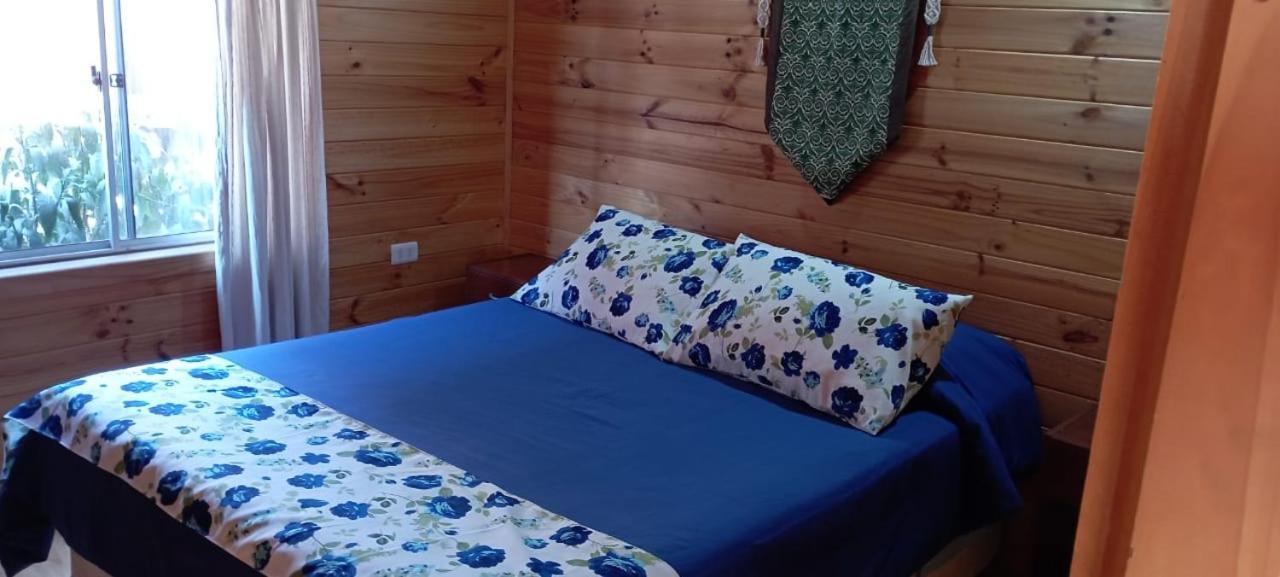 Hostal El Colibri Vicuna Exterior photo