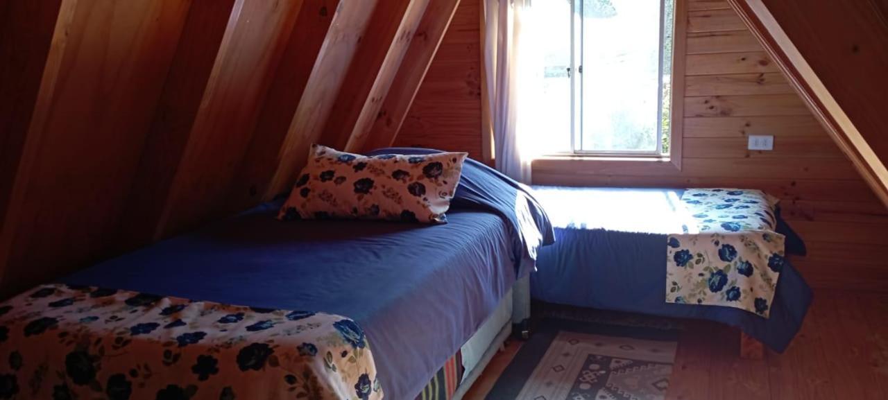 Hostal El Colibri Vicuna Exterior photo