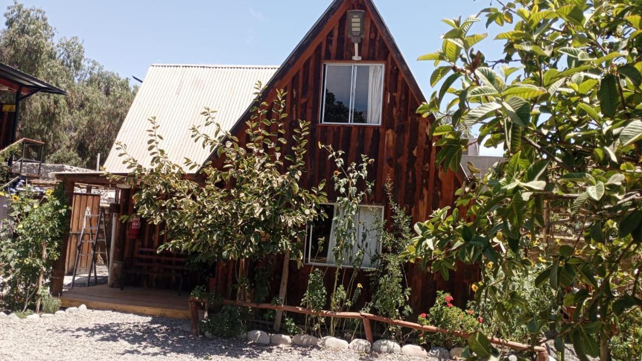 Hostal El Colibri Vicuna Exterior photo