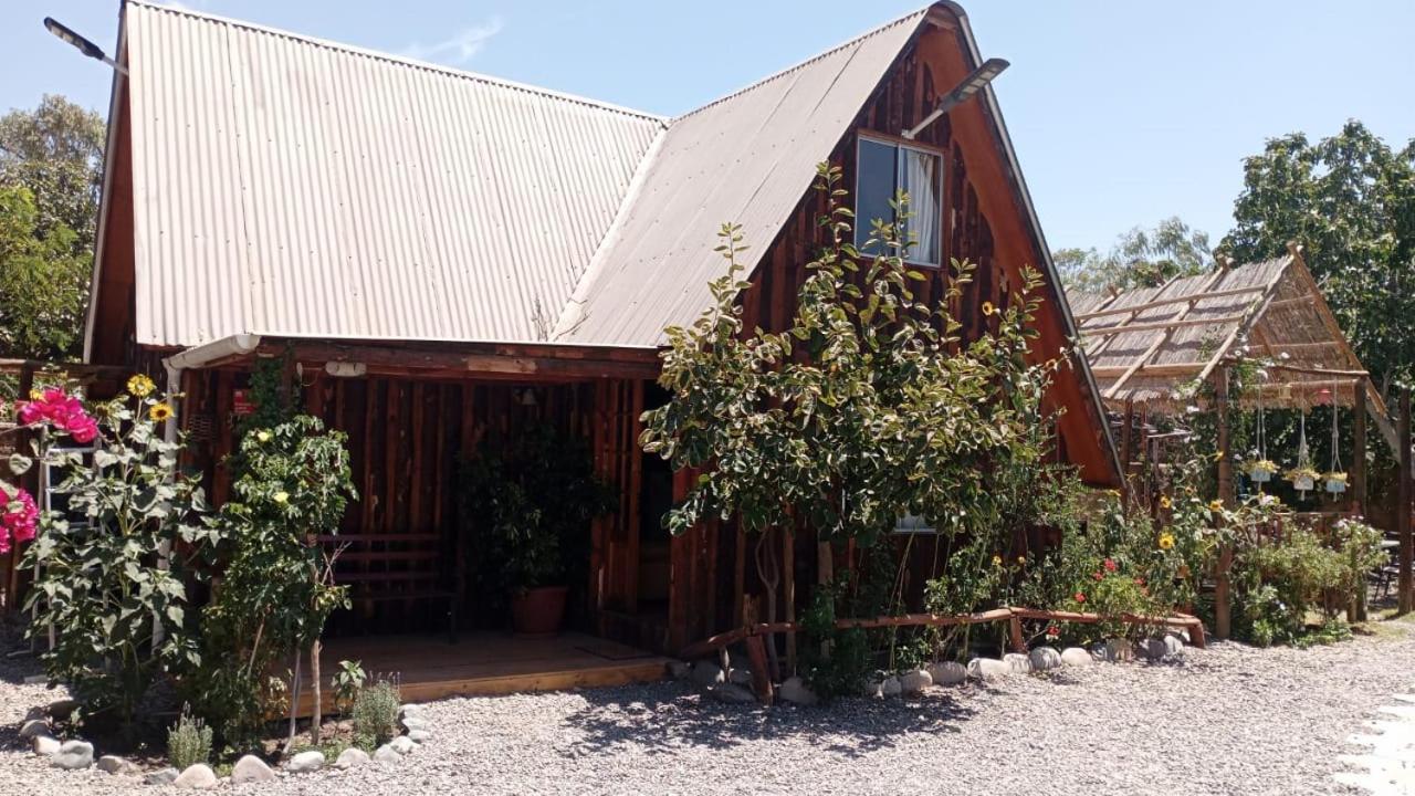 Hostal El Colibri Vicuna Exterior photo